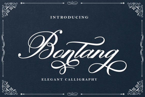 Bontang: A Dazzling Script Font for Modern Designers